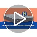 Sealy Dreamlife 12" Foam Mattress-in-a-Box, Queen, SealyComfort Gel Memory Foam, SealySupport Transition Foam, Surface-Guard Technology