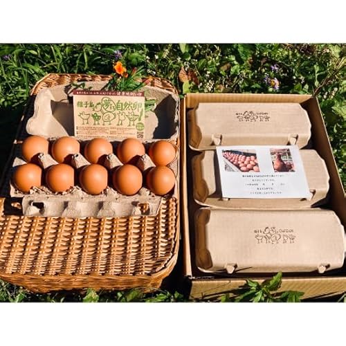 ق̂ȊÂ݂ƔZȃRNI܂鎩Ri30j (60)