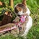 Katzengeschirr und Leine - Ausbruchsicher für Spaziergänge, Reisen, Outdoor - Niedliches Set Mit Airtag-Halterung - Nylon, Verstellbar für Kleine und Große Katzen