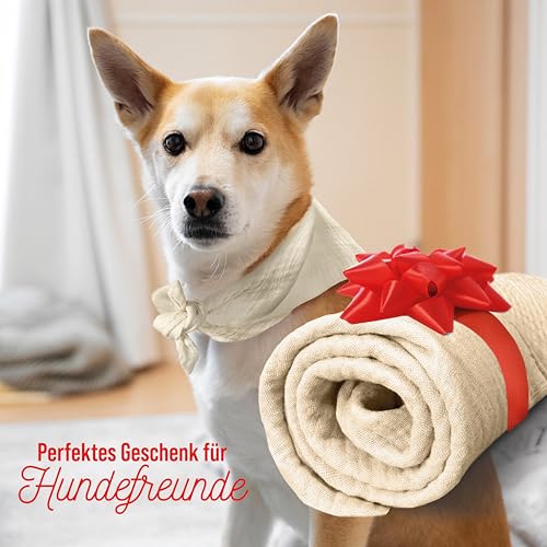 Hundehalstuch, Oeko-TEX® Standard 100 - Hunde Halstuch als Geschenk für Hundeliebhaber (Beige)