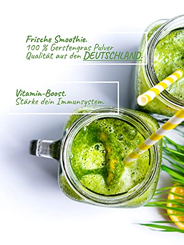 VEGAN FLOW® Bio Rohkost Gerstengras Pulver, 500g, deutsche Anbaufläche - Image 4