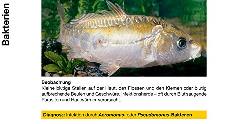 sera pond cyprinopur 250 ml - Arzneimittel gegen häufige Erkrankungen im Teich