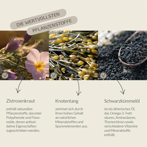 Provicell para-Z-Vital | Mit Tierärzten in Deutschland entwickelt & hergestellt | Schutz für den Hund ohne Chemie | 120 Tabletten