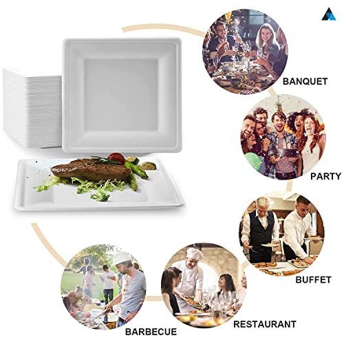 NationwidePaper 10 Inch Biodegradable Square Paper Plates, Bagasse White Disposable Plates, Strong Party Plates (50 Pcs) - Image 4