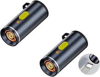 安心の日本企業 MSL FORCE 電熱式ライター スマホから給電 息を吹き式 Type-C ポート対応 防風 安全 コンパクト 軽量 アウトドア キャンプ 釣り 登山 FL (ライター(USB-Cメスボタン押しタイプ), 2個セット)