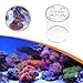 Acrylic Coral Feeder Cover,Coral Breeding Protection Dome, Avoid Corals Food Around, S
