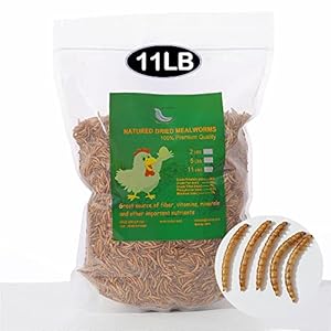 11LBs Non-GMO Dried Mealworms,High-Protein Larvae Treats Feed Molting Supplement for Birds Hens Ducks etc,Large Bulk Meal Worms Birds Chicken Food