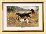  Kunstdruck Old England Jagdhund - Pelle di razza naturale, formato A3 292, incorniciata