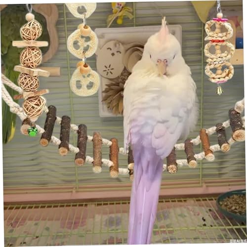 Jouets pour perroquets calopsittes et perruches : kit accessoires de cage suspendus