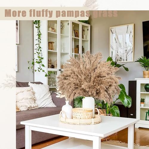 Image of 30 Stems 28 inch inch Fluffy Brown Pampas Grass Decor Tall - Natural Dried Pampas Grass, Large Pompas Grass, Dry Pampas Bulk for Living Room Decor, Boho Home Decor , Wedding Decor , Gift( 30 Brown )