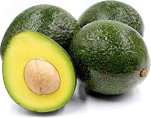 Cloud Farm Rare Dwarf Avocado Hass Persea Americana Butter Fresh Fruit 1 Healthy Live Plant,CF_T47 (B0D2VTJLMF) Amazon Price History, Amazon Price Tracker