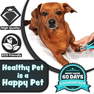   HH-Pets-Nail-Clippers-Series-for-Cats-and-Dogs-Razor-Sharp-Blades-Sturdy-Non-Slip-Handles-Dog-Accessories-Professional-at-Home-Grooming-Stainless-Steel-Dog-Nail-Trimmers-M-M-L-Dogs