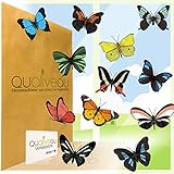 ✅ EFFEKTIVER SCHUTZ – Um Schutz vor Vogelschlag zu bieten, sollten laut Experten rund 25% des Fensters bedeckt sein. So können Sie mit diesem Set 1 hausübliches Fenster effektiv schützen.