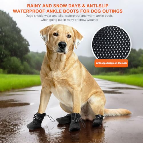 Bottes pour chien : protégez ses pattes pour partager chaque instant