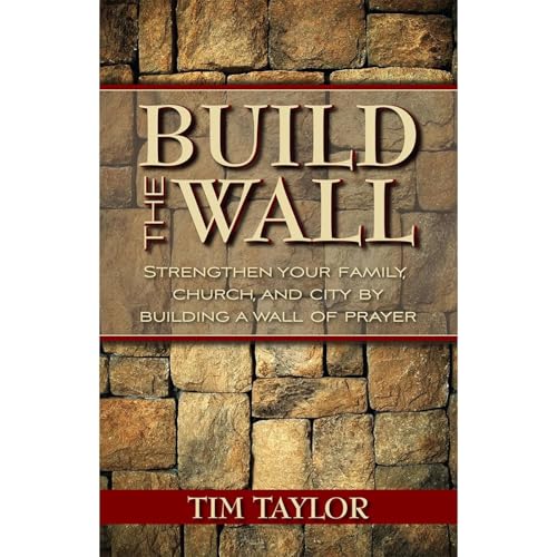 Build The Wall Audiobook By Tim Taylor cover art