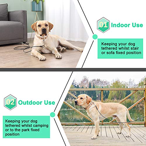 25ft Dog Tie Out Cable Galvanized Steel Wire Rope with PVC Coating for Medium Dogs up to 396Ibs, Green Gecko 25ft Dog Tie Out Cable Galvanized Steel Wire Rope with PVC Coating for Medium Dogs up to 396Ibs, Green Gecko