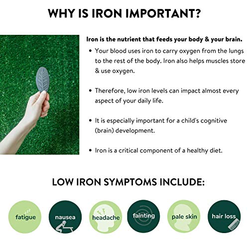 Original Lucky Iron Leaf 2-Piece Bundle - Includes - 1 Lucky Iron Leaf + 1 Lucky Iron Natural Protection Oil. Maintain Your Lucky Iron Leaf Cooking Tool with Our formulated Protection Oil