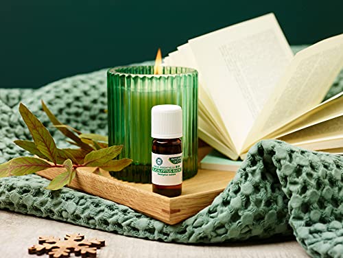 Phytosun Arôms Eucalipto Radiata Bio 10ml