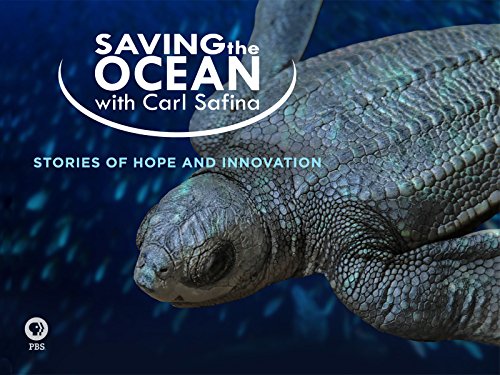 Saving the Ocean with Carl Safina