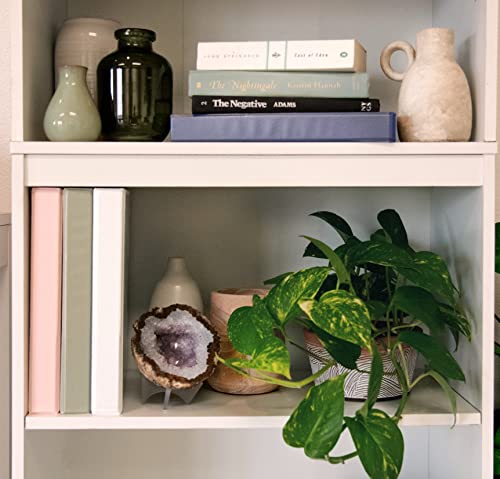 Samsill Earth's Choice, 2-Inch Durable D-Ring View Binder 4 Pack, Usda Certified Biobased, Eco-Friendly, Boho Assortment #TOP5