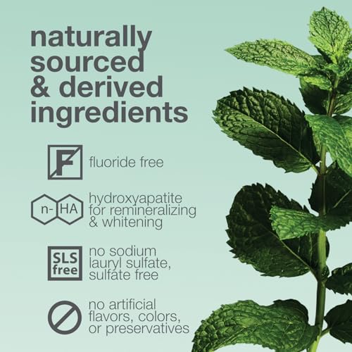 Image of Davids Hydroxi Mild Mint Fluoride Free Nano Hydroxyapatite Toothpaste for Enamel Health & Whitening, Antiplaque, SLS Free, Kid Friendly Gentle Mint Flavor, 4 oz, Made in USA