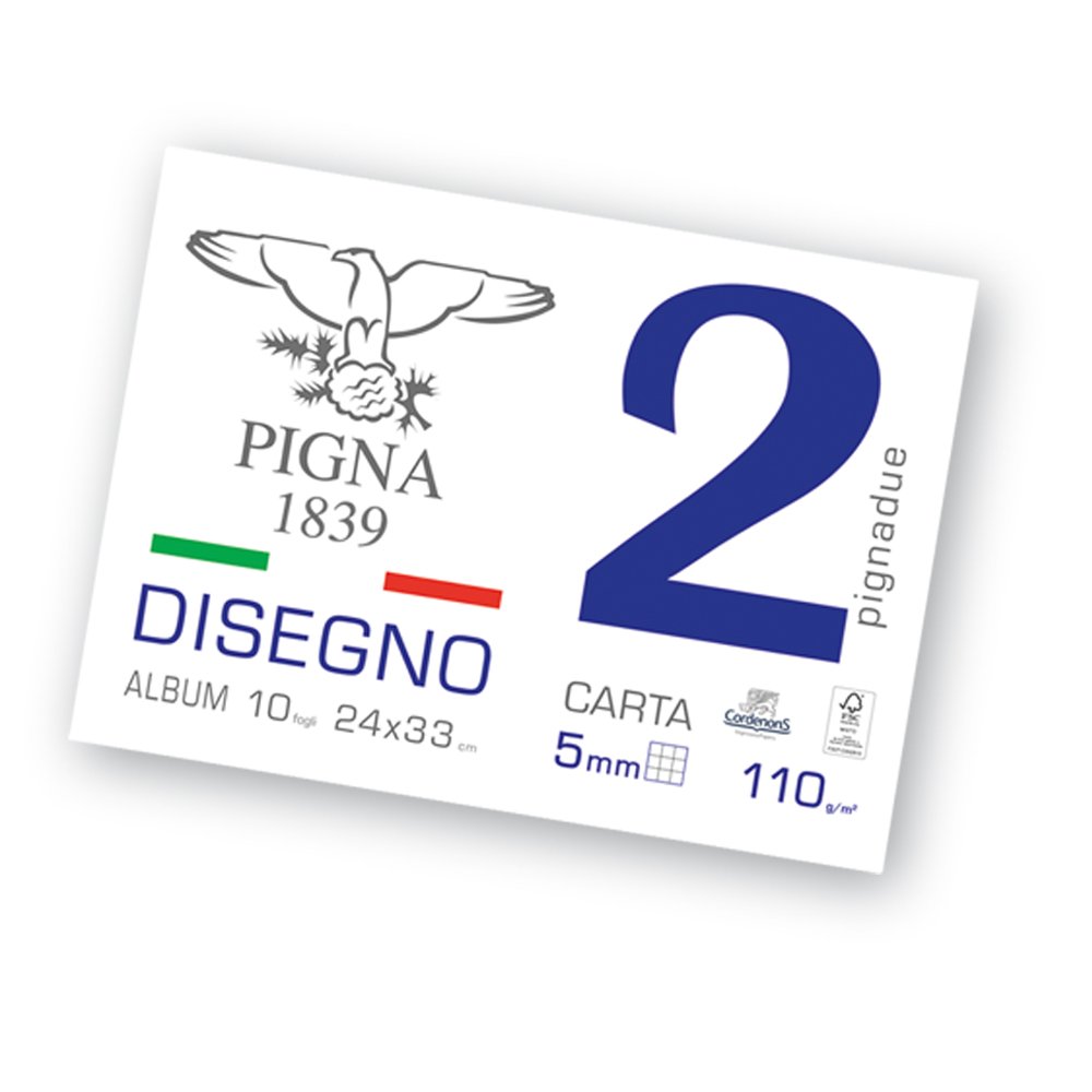 Pigna 0220008SG Drawing Album, Smooth Square Paper, 10 Sheets, 24 x 33 cm