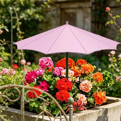 Sombrilla para plantas evita hojas quemadas pack de 3 sombrillas de jardín 26,5 cm con estaca 3