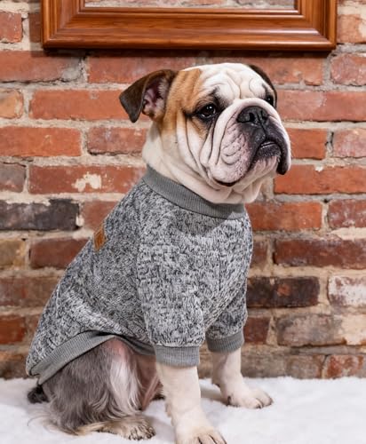 OYIWINMI Hundepullover 2 Stück, hundepullover kleine Hunde hundemantel für Fleece hundejacke Pullover Hund Chihuahua Kleidung hundekleidung klein hundepulli Katzen wintermantel hundebekleidung (S)