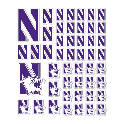 Desert Cactus Northwestern University Sticker Northwestern Wildcats Vinyl Decal Laptop Water Bottle Car Scrapbook Sheet (Type 1-1)