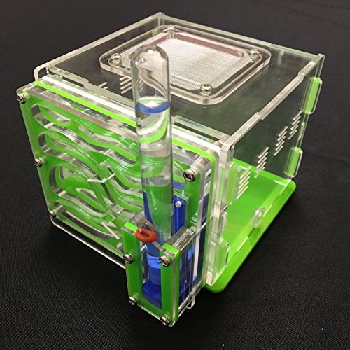 Vivarium/ferme à fourmis avec zone d’alimentation et nid - Acrylique