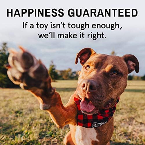 barkbox for pitbulls