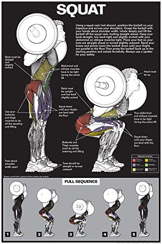 Squat Workout Laminated Poster