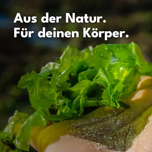 SOLVISAN Irish Sea Moss 600 mg pro Kapsel 120 Kapseln für Erwachsene - Ohne Zusatzstoffe - 4 Monate Versorgung