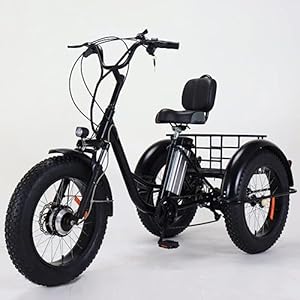 便利100 Outdoor 20” Fat Tyre Electric Bicycle for Adult with 500W Motor, 48V Battery 3 Wheel E-Bike for Seniors Leisure Rides Front Rear Baskets, 7 Speed Farm Vegetables and Fruits Transport-Black