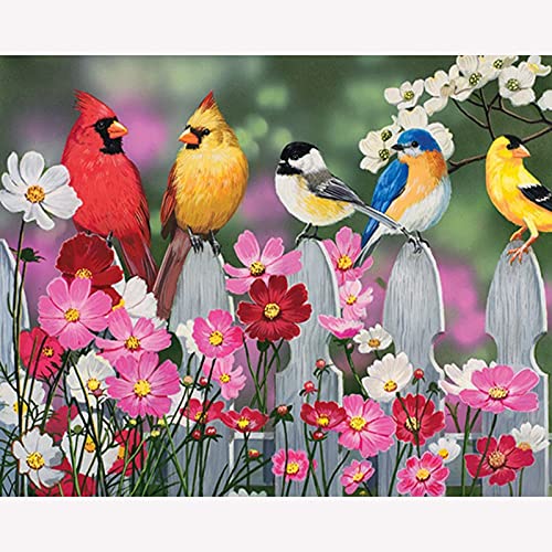 Peinture diamant cristal strass oiseau multicolore point de croix haut de gamme