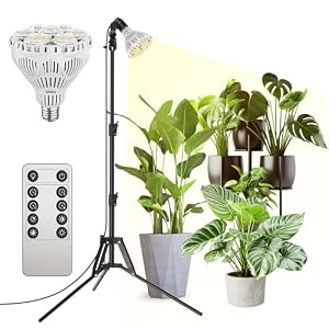 SANSI – SANSI 40W Dimmbare LED Pflanzenlampe für Zimmerpflanzen mit 