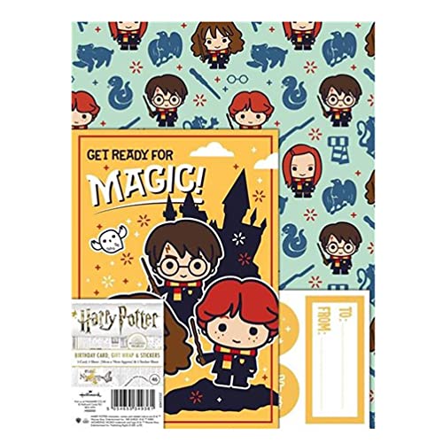 Birthday harry potter card gift wrap and stickers