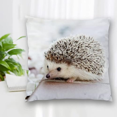 Funda de Almohada Decorativa Hedgehog Square Funda de Almohada con Cremallera Agradable 20X20cm 35X35cm 40x40cm Cover