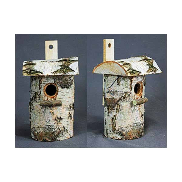 Damian-Wiklina Vogelhaus, Nistkasten, Birkennesthöhle 16 x 12 cm (32mm) – Bild 7