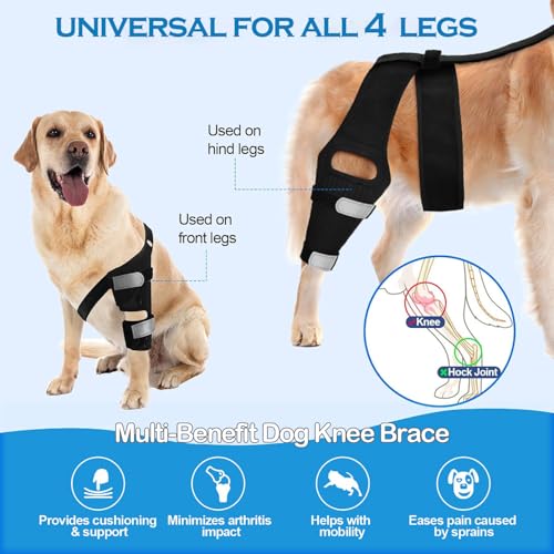 Image of JOMMIE CHEN Dog Knee Brace for Torn ACL, Hind Leg Support Better Recovery with Dog Leg Adjustable Dog Acl Brace (Small)