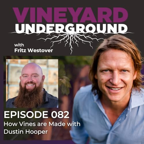 082: How Vines are Made with Dustin Hooper Podcast Por  arte de portada