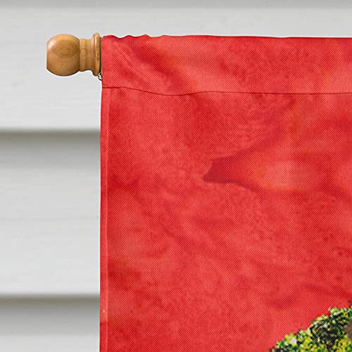 Doberman Flag Canvas House Size pour embellir une façade de maison - 4