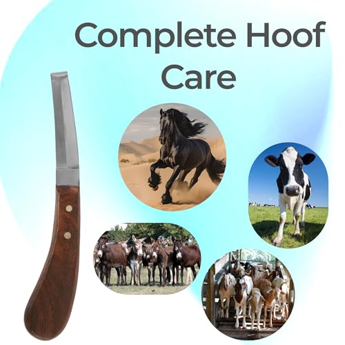 Image of Hoof Knife Double Edged Curved Blade - Stainless Steel Curved Blade Farrier Tool with Wooden Handle, Multipurpose Hoof Trimming Knife for Livestock, 3-Inch Blade, 8.5-Inch Overall (Left Hand)