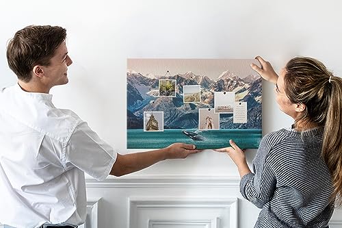 Planche en liège pour notes et planification horizontale d'affichage école - 5
