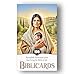 Biblicards - 100 Illustrated Bible Story Cards for Kids & Young Adults | Perfect Christian Gift | Screen-Free Family Devotions, Youth Ministry & Sunday School | Faith-Building Scripture Learning