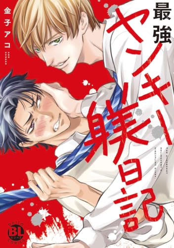 最強ヤンキー躾日記 (DAITO COMICS)