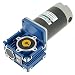 DC 12V / 24V 120W RV30 Motor de Engranaje Helicoidal Velocidad Ajustable...