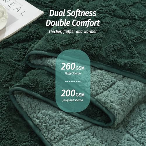 Wemore Weighted Blanket for Adults Twin Size 20 lbs, Dual Sided Soft Fuzzy Jacquard Sherpa Weighted Blankets for Sleeping, Cozy Fluffy Knitted Heavy Blanket for Couch Bed, Dark Green, 60 x 80 inches