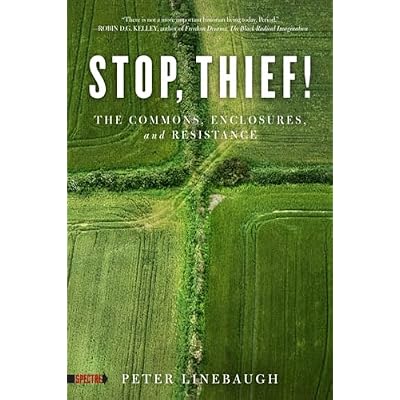 Stop, Thief!