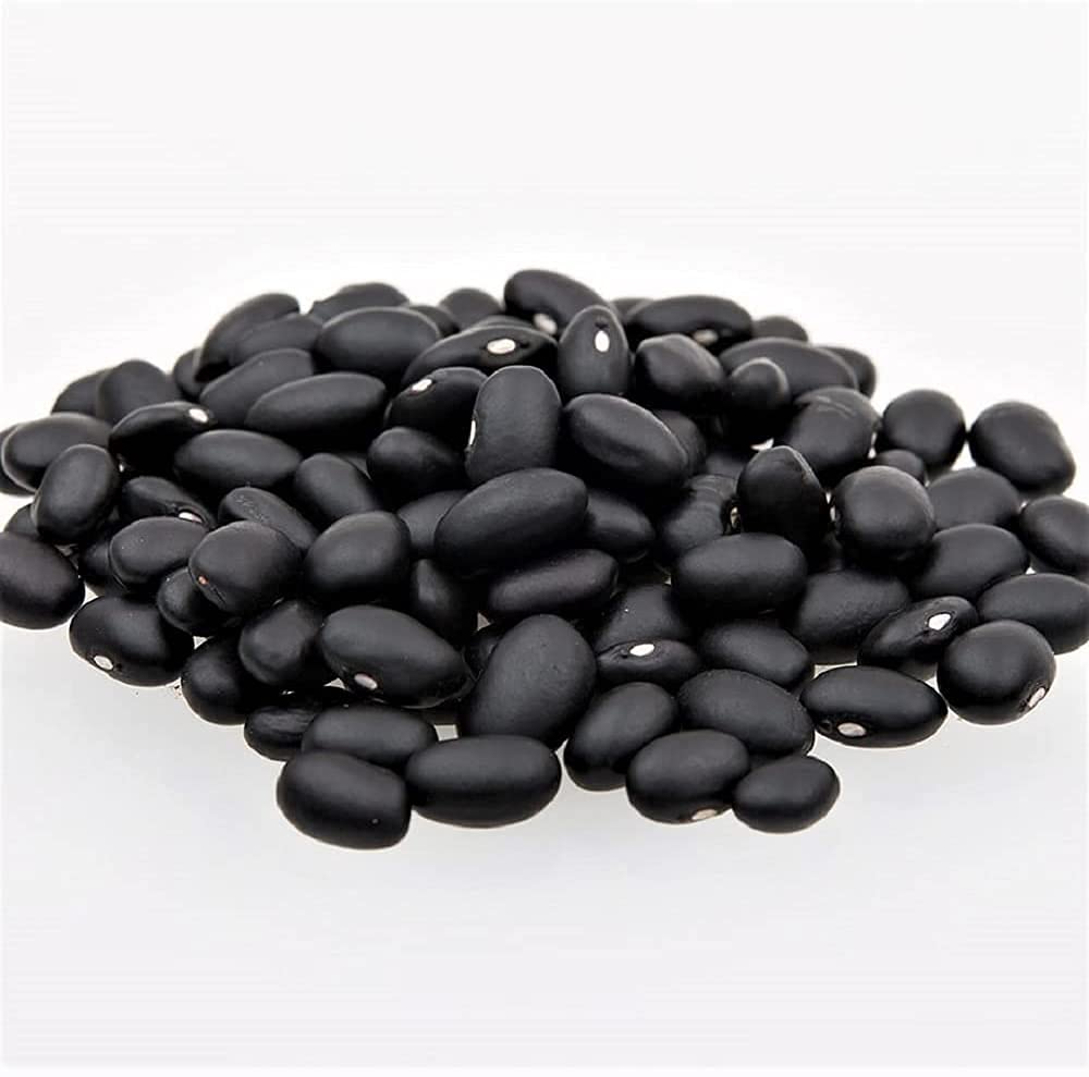 Bean Seed, Black Turtle Bush Bean, Heirloom, Non Gmo, 50 Seeds, Terrific Black Beans